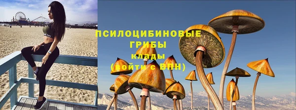 трава Балахна