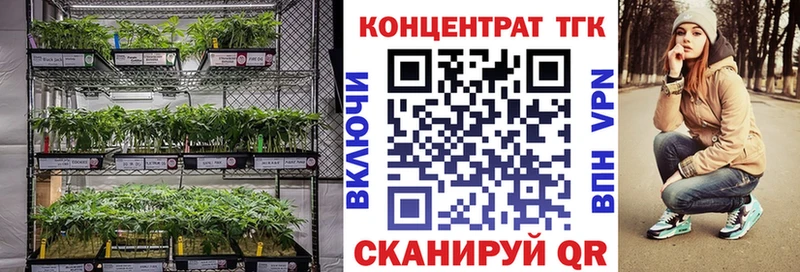 Дистиллят ТГК Wax  цены   Новое Девяткино 